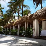 The Palms Hotel & Spa 